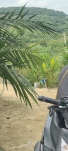 Tahura STS Di Gasak, Pemda & APH Tutup Mata?
