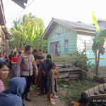 IMG-20250701-WA0031