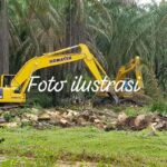 Kasus Dugaan Korupsi Dana Replanting Belum Ada Titik Terang IMG-20260114-WA0015