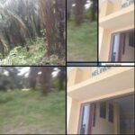 Lapor Pak Kapolres !!! DI Duga Ada Pembiaran Dari Oknum Anggota Polsek Mersam,Pencurian Sawit Di kebun PT Deli muda Perkasa Yang telah di Sita KEJAGUNG RI Screenshot_20260806_003811_Gallery
