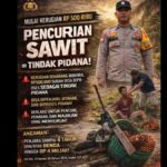 Amrullah Alias gonggong Sebut Beri Uang 9 Juta Kepada Oknum Kapolsek Agar Bisa Memanen Sawi Sitaan Negara Di Kebun PT DELI MUDA PERKASA Screenshot_20260813_115316_Chrome